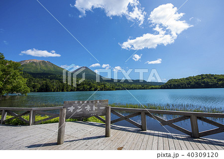 阿寒国立公園・オンネトー 40309120