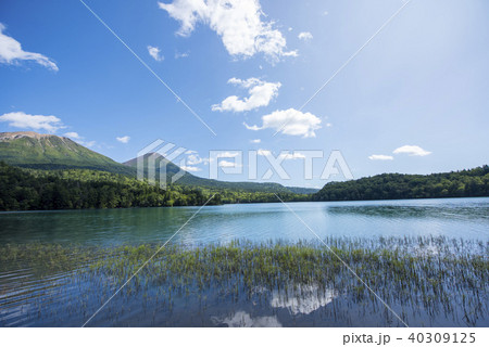 阿寒国立公園・オンネトー 40309125