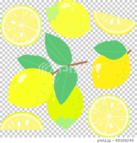 Lemon berry, sliced 40309249