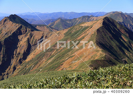 谷川岳 肩ノ小屋からオジカ沢ノ頭 俎嵓方面を見るの写真素材