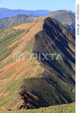 谷川岳 肩ノ小屋からオジカ沢ノ頭方面を見る 40309261