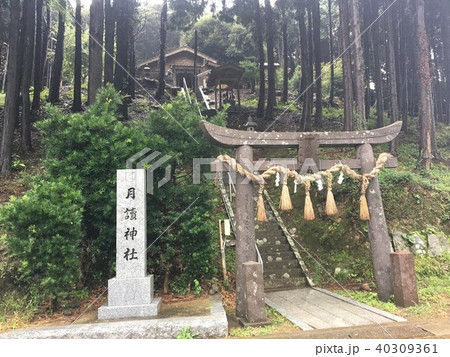 壱岐島　月讀神社 40309361