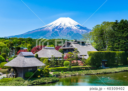 富士山 忍野八海 40309402