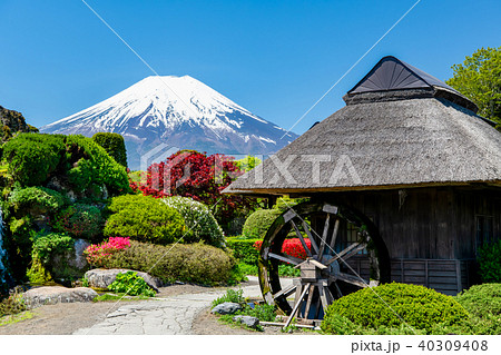 富士山 忍野八海 富士山 忍野八海 40309408
