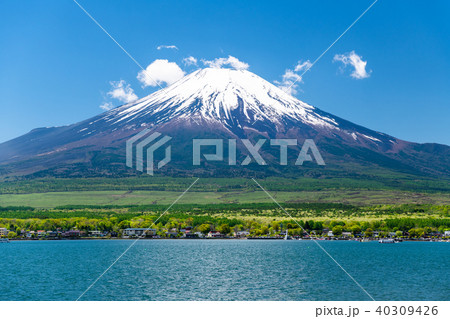 富士山 山中湖 40309426