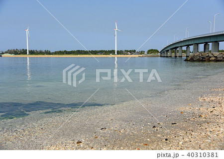 新舞子海岸 40310381