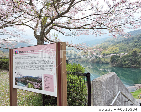 昭和池 昭和池 40310984