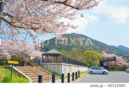 足立公園展望広場 足立公園展望広場 40310985
