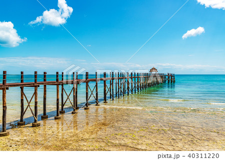 ザンジバルの海岸(タンザニア、ザンジバル) ザンジバルの海岸(タンザニア、ザンジバル) 40311220