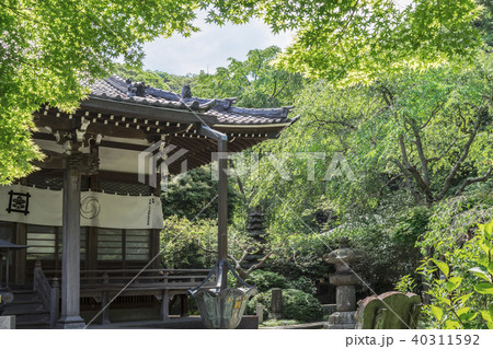 安国論寺の本堂（鎌倉市大町） 40311592