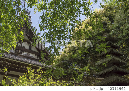安国論寺の本堂（鎌倉市大町） 40311962
