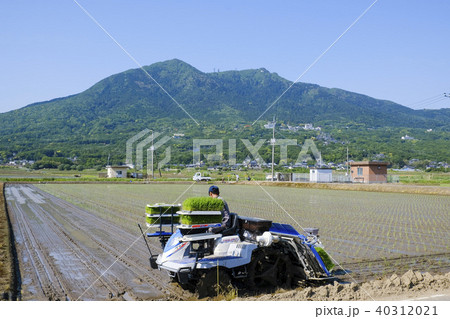 筑波山麓の田植え　 40312021