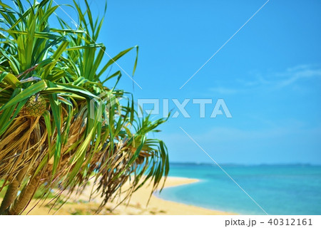 沖縄 津堅島 ヤジリ浜ビーチ 40312161