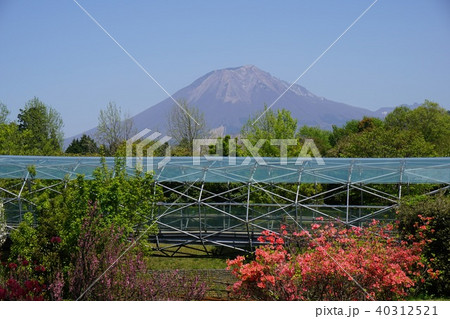 日本最大級のフラワーパーク「とっとり花回廊」：クリスタルロードと大山 40312521