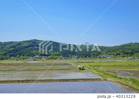 筑波山麓の田植え　 40313229