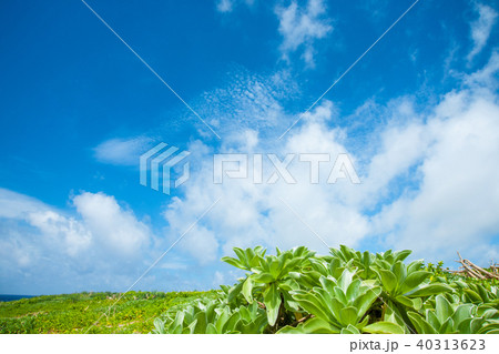 日本最南端有人島 波照間島 日本最南端有人島 波照間島 40313623