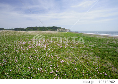 飯岡の浜 40313962