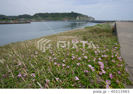 飯岡の浜 40313965