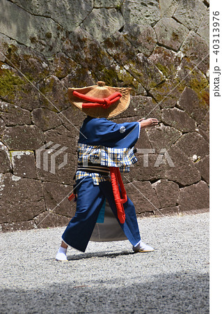 泰平踊 泰平踊 40313976