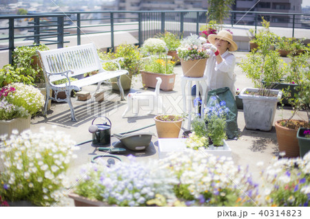 ガーデニング 40314823