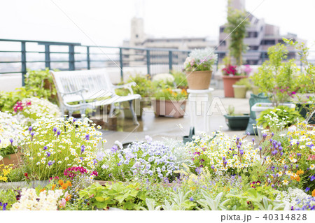 ガーデニング 40314828