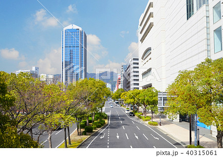 神戸市　フラワーロードの風景 40315061