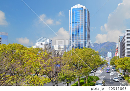 神戸市 フラワーロードの風景 神戸市 フラワーロードの風景 40315063