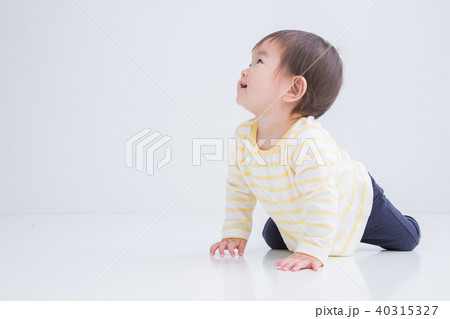 ハイハイする赤ちゃん ハイハイする赤ちゃん 40315327