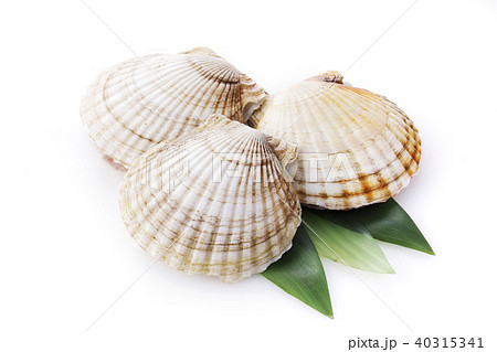 ほたて ほたて 40315341