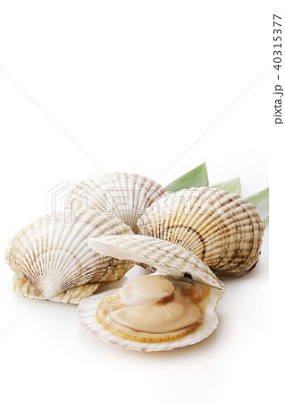 ほたて 40315377