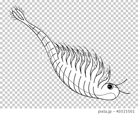 海猴子鹵虫字符水平著色 海猴子鹵虫字符水平著色 40315501