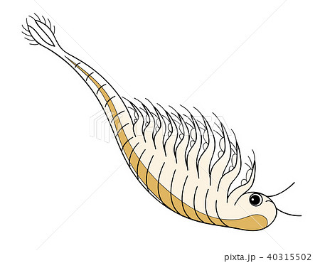 Monkey in the Ocean, Swimming with a School of Fish, but the Fish are All  Poisonous and the Monkey is Starting To Feel Sick Stock Illustration -  Illustration of character, nature: 285114638