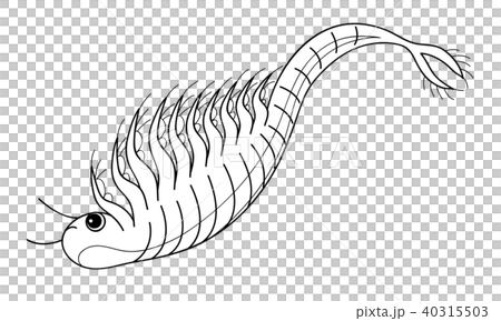 シーモンキー アルテミア キャラクター 横向き ぬりえ シーモンキー アルテミア キャラクター 横向き ぬりえ 40315503