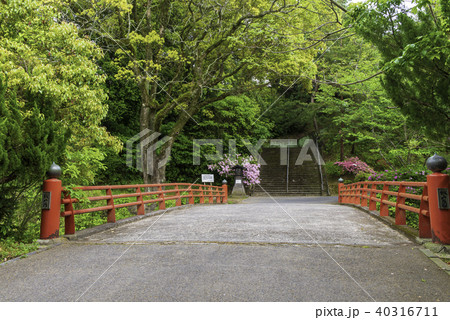 大分県　杵築市の街並み 40316711