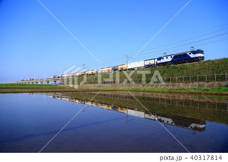 水田と貨物列車 水田と貨物列車 40317814