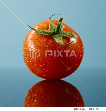 tomato with water drops isolated on the glossy blue background tomato with water drops isolated on the glossy blue background 40318165