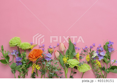 春の花　背景素材 40319151