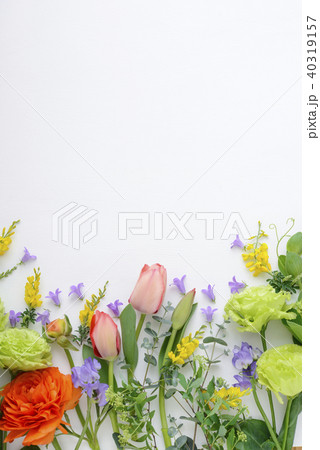 春の花 背景素材 春の花 背景素材 40319157