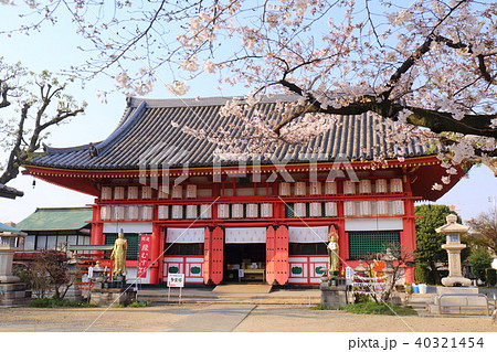 大阪　春の愛染堂勝鬘院 40321454