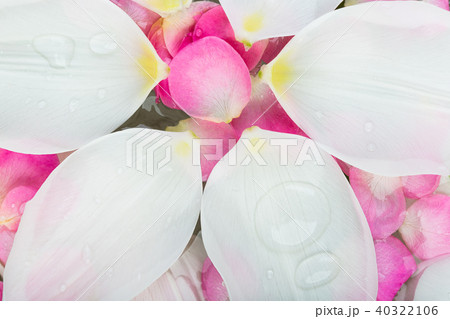 growing, greening, floristic work concept. 40322106