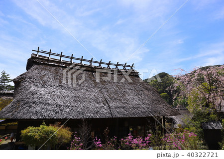 【山梨県】春の西湖いやしの里根場 【山梨県】春の西湖いやしの里根場 40322721
