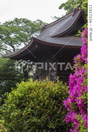 等覚院　山門 40323911