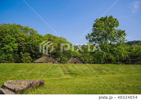 荒神谷史跡公園 40324054