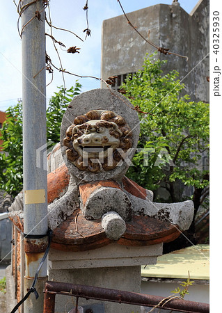 沖縄　那覇　壺屋の街並み 40325930