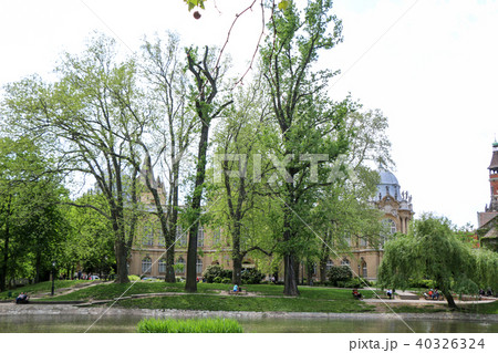 Vajdahunyad Castle with beautiful sunlight Vajdahunyad Castle with beautiful sunlight 40326324