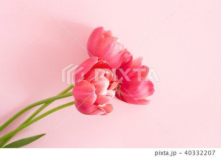 Beautiful pink flowers. Beautiful pink flowers. 40332207