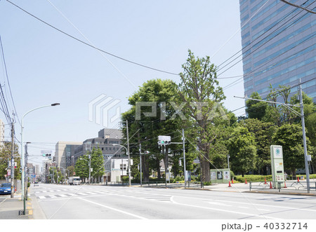 不忍通りの文京グリーンコート前交差点（東京都文京区） 40332714