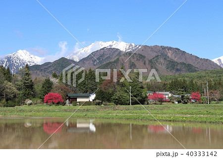 長野県大町市　春の田起こし 40333142