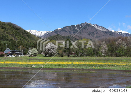 長野県大町市 春の田起こし 長野県大町市 春の田起こし 40333143