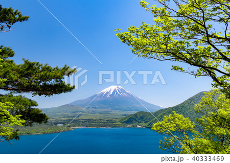 富士山 本栖湖からの眺望 40333469